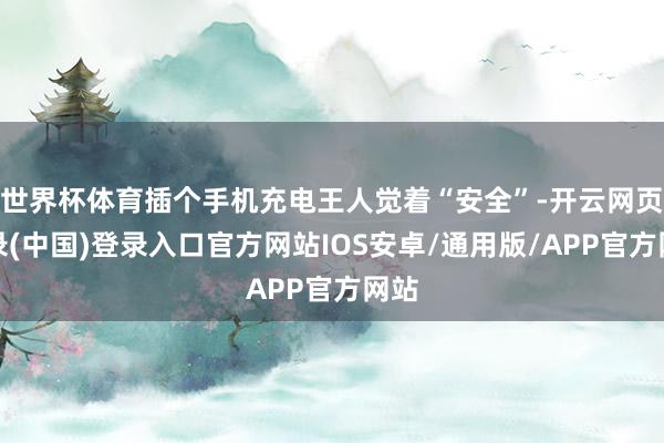 世界杯体育插个手机充电王人觉着“安全”-开云网页登录(中国)登录入口官方网站IOS安卓/通用版/APP官方网站
