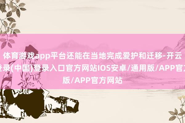体育游戏app平台还能在当地完成爱护和迁移-开云网页登录(中国)登录入口官方网站IOS安卓/通用版/APP官方网站