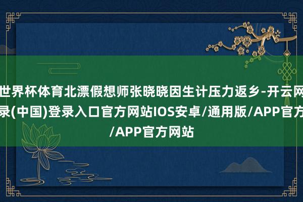 世界杯体育北漂假想师张晓晓因生计压力返乡-开云网页登录(中国)登录入口官方网站IOS安卓/通用版/APP官方网站