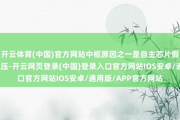 开云体育(中国)官方网站中枢原因之一是自主芯片假想业务收入及毛利承压-开云网页登录(中国)登录入口官方网站IOS安卓/通用版/APP官方网站